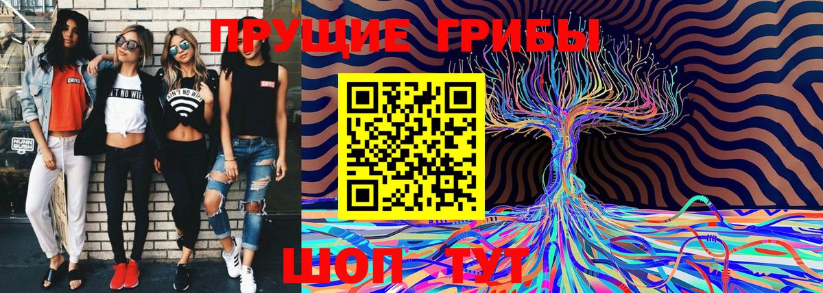 Псилоцибиновые грибы Cubensis Орск
