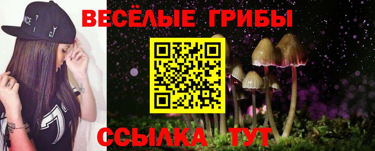 Орск  Псилоцибиновые грибы мицелий  Вход с VPN 